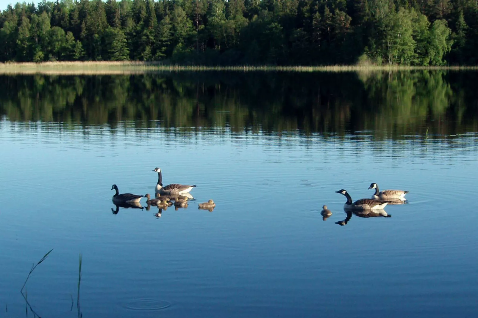 5 person holiday home in VÄDDÖ-By Traum-View