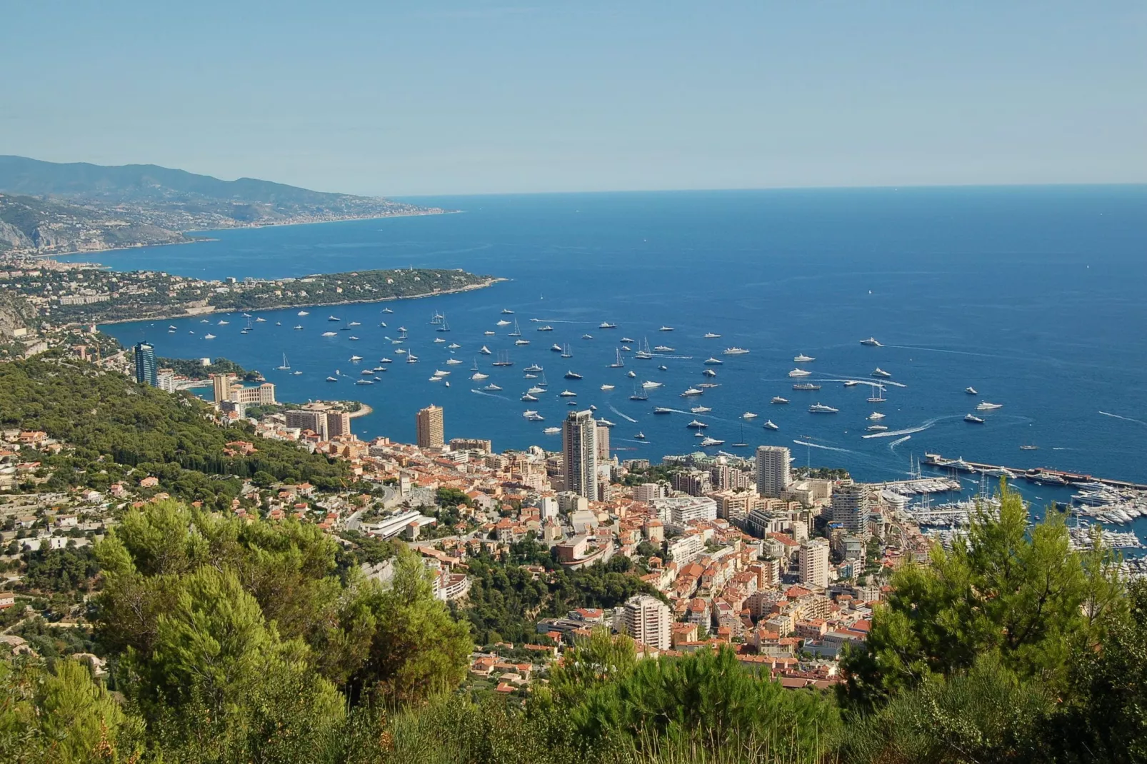 Vista Monte Carlo-View summer