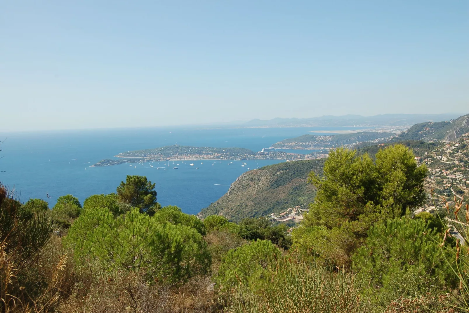Vista Monte Carlo-Areas summer 1km