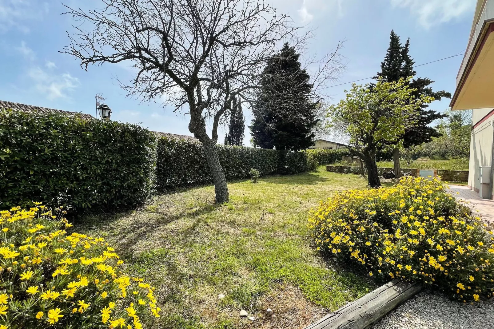 Casa Manù - Garten Sommer