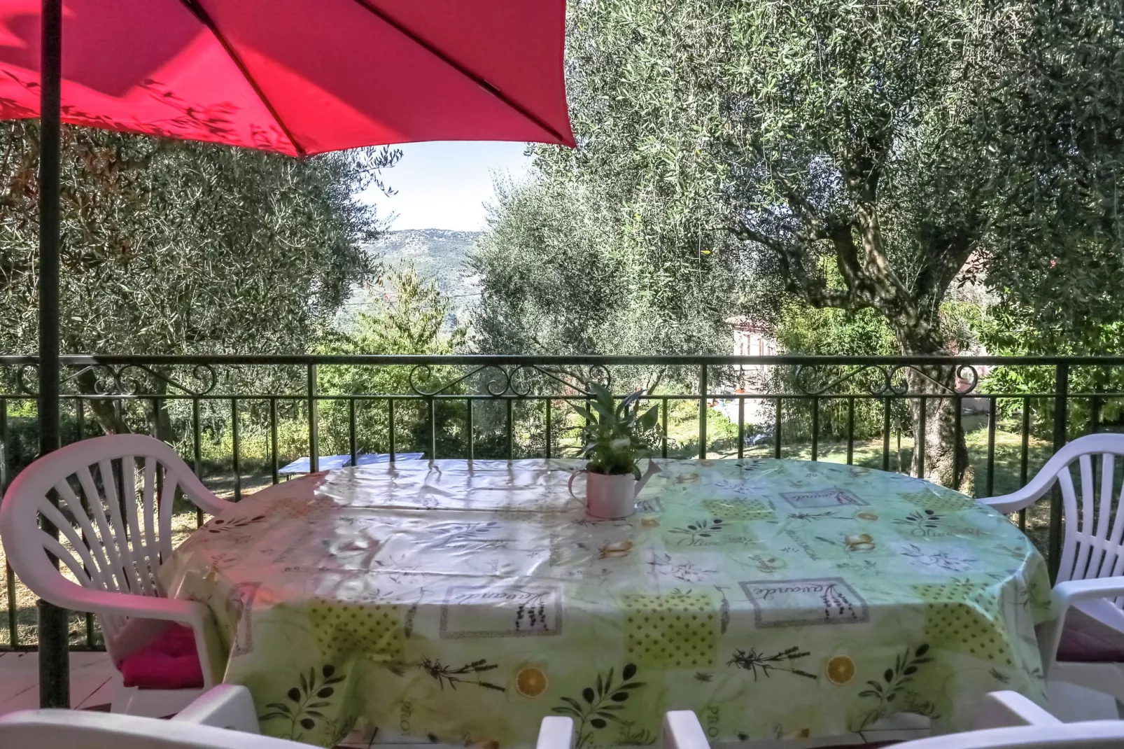Berre les Alpes-Terrace balcony