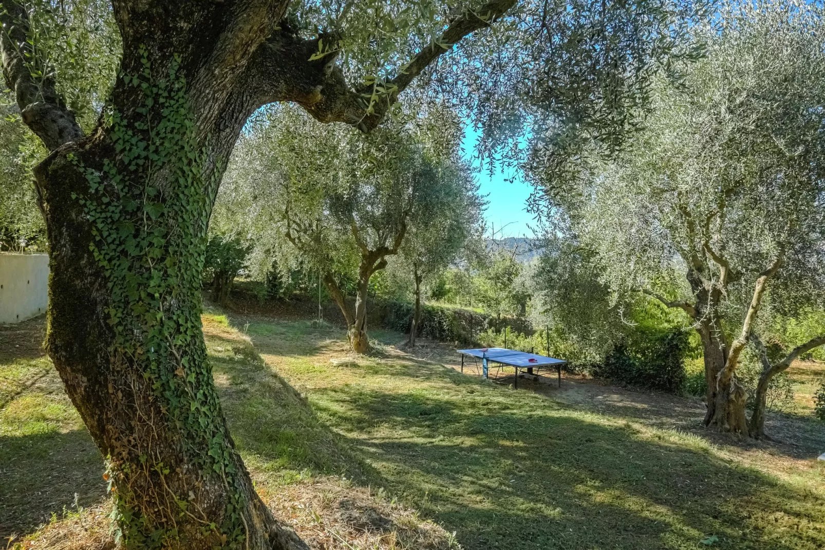Berre les Alpes-Gardens summer