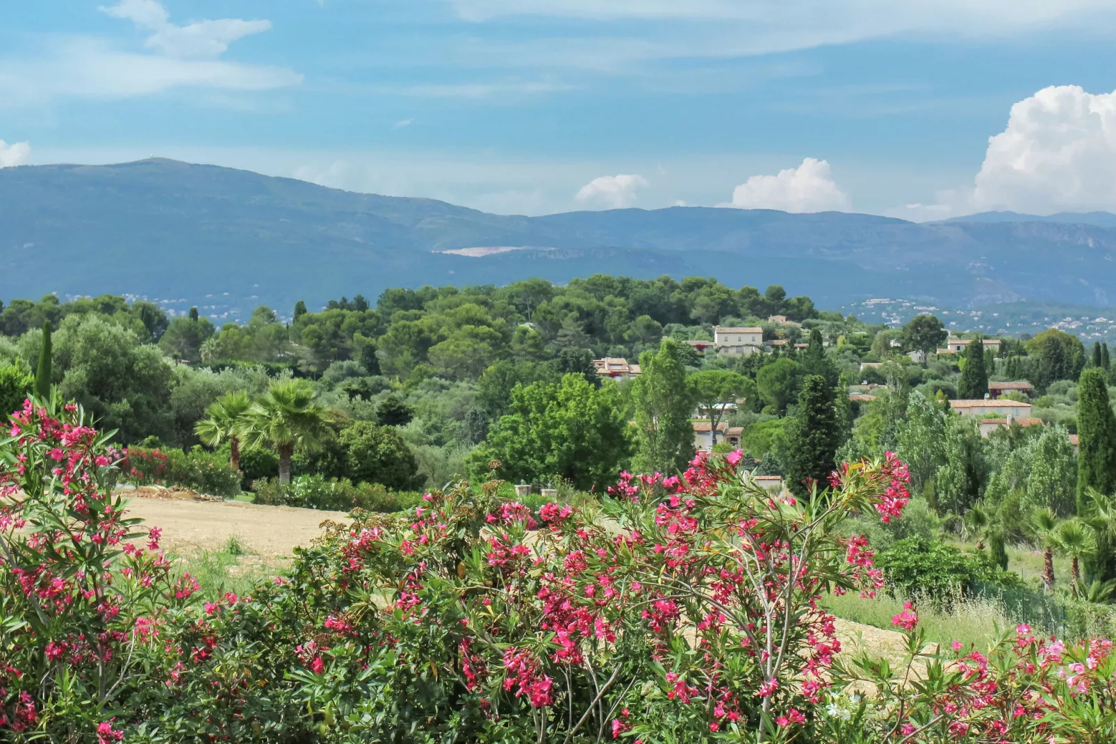 Berre les Alpes-Areas summer 1km