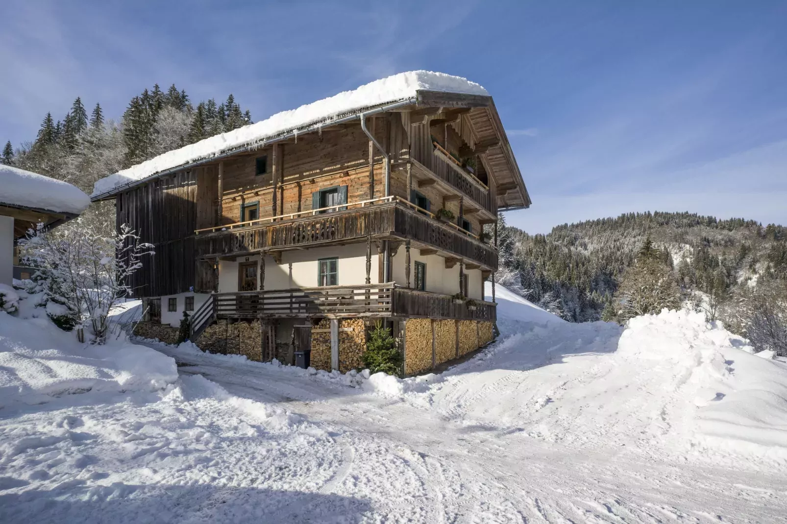 Brummer-Außenbereich Winter