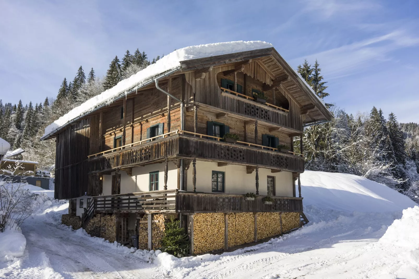 Brummer-Außenbereich Winter