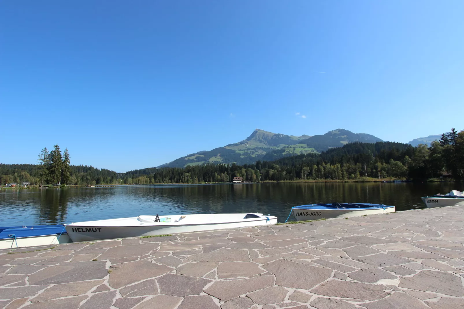 Brummer-Gebiete Sommer 20 km