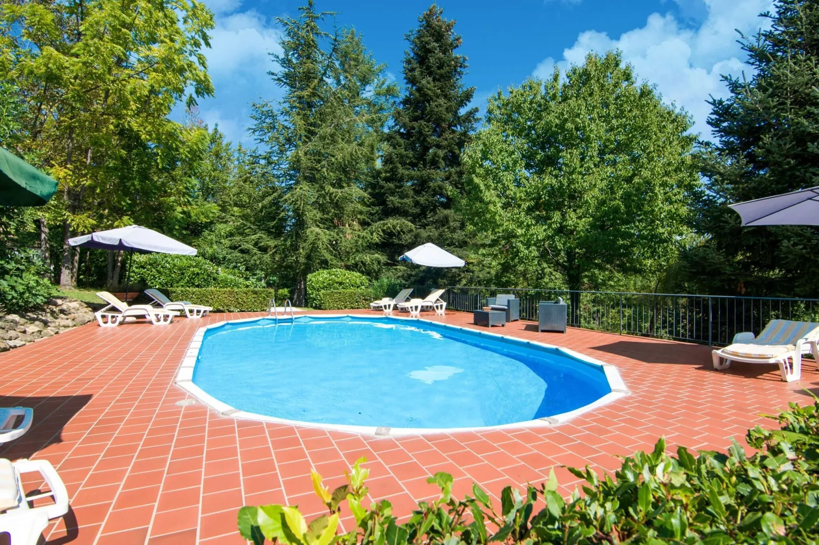 Fattoria 15-Pool