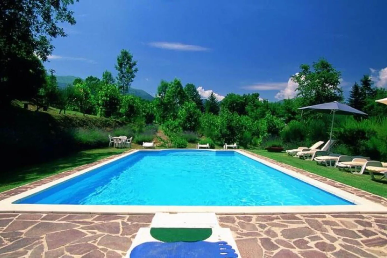 Fattoria 15-Pool