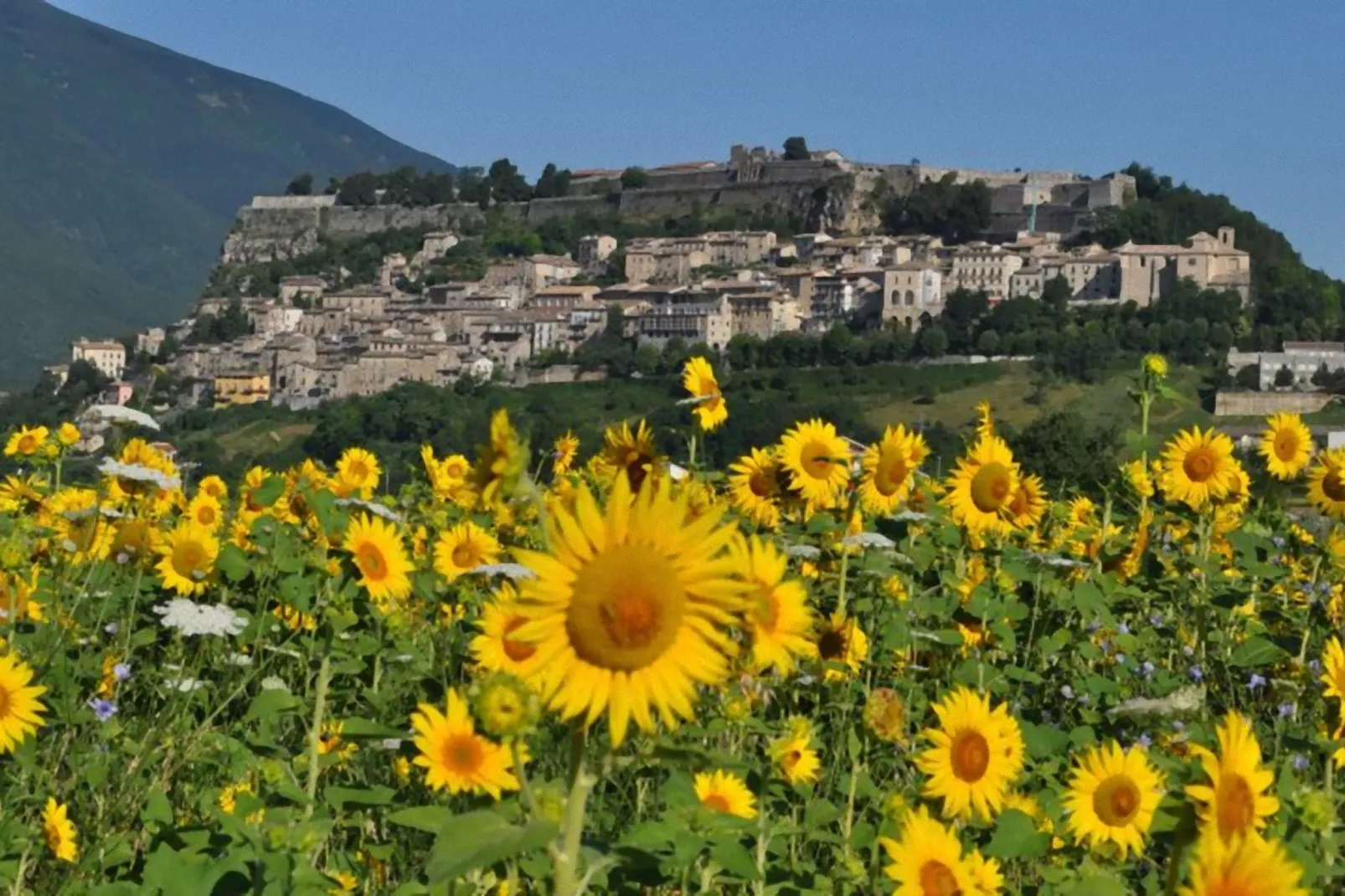 Oleandro-Areas summer 20km