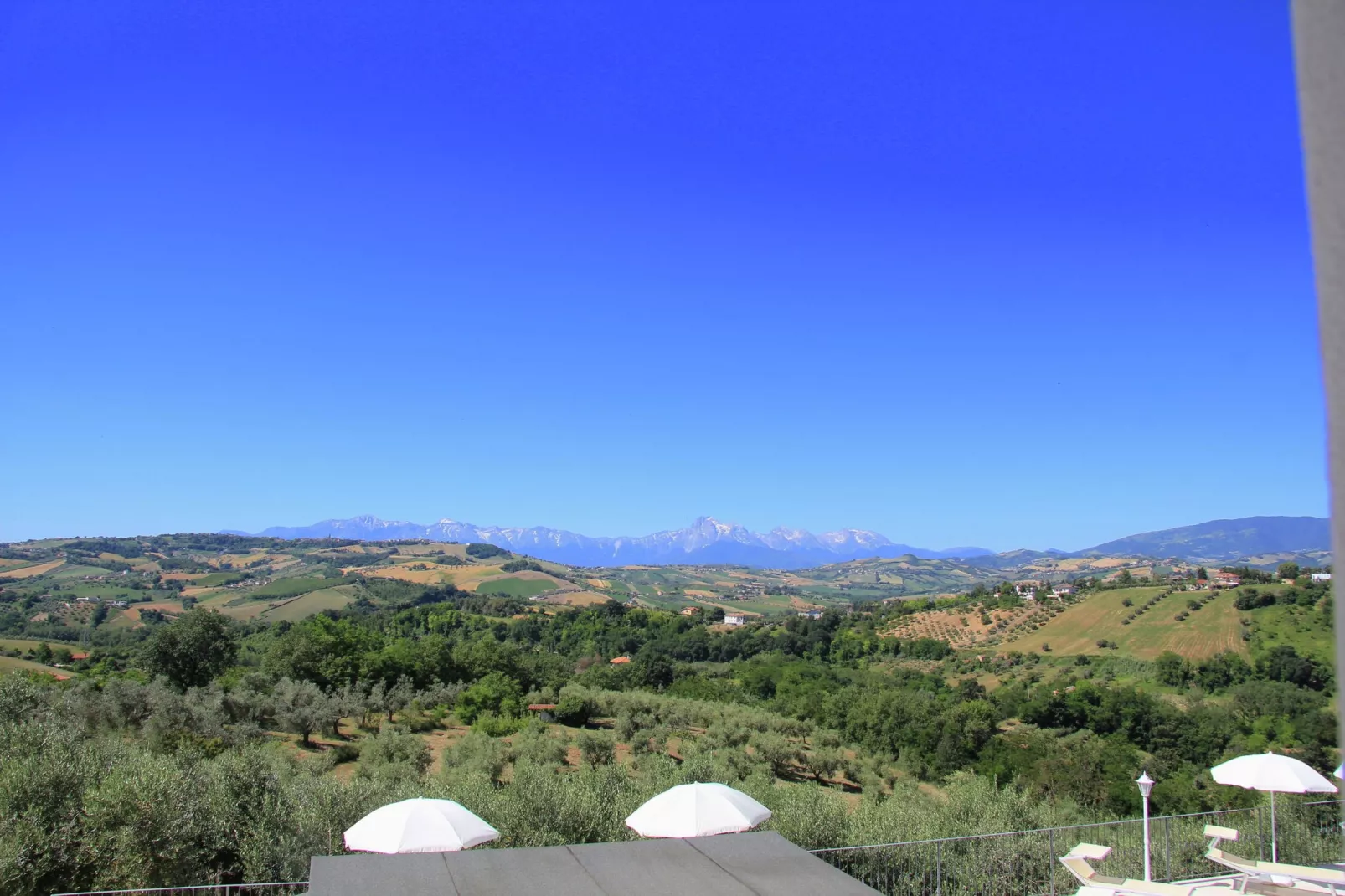 Ninfea-View summer