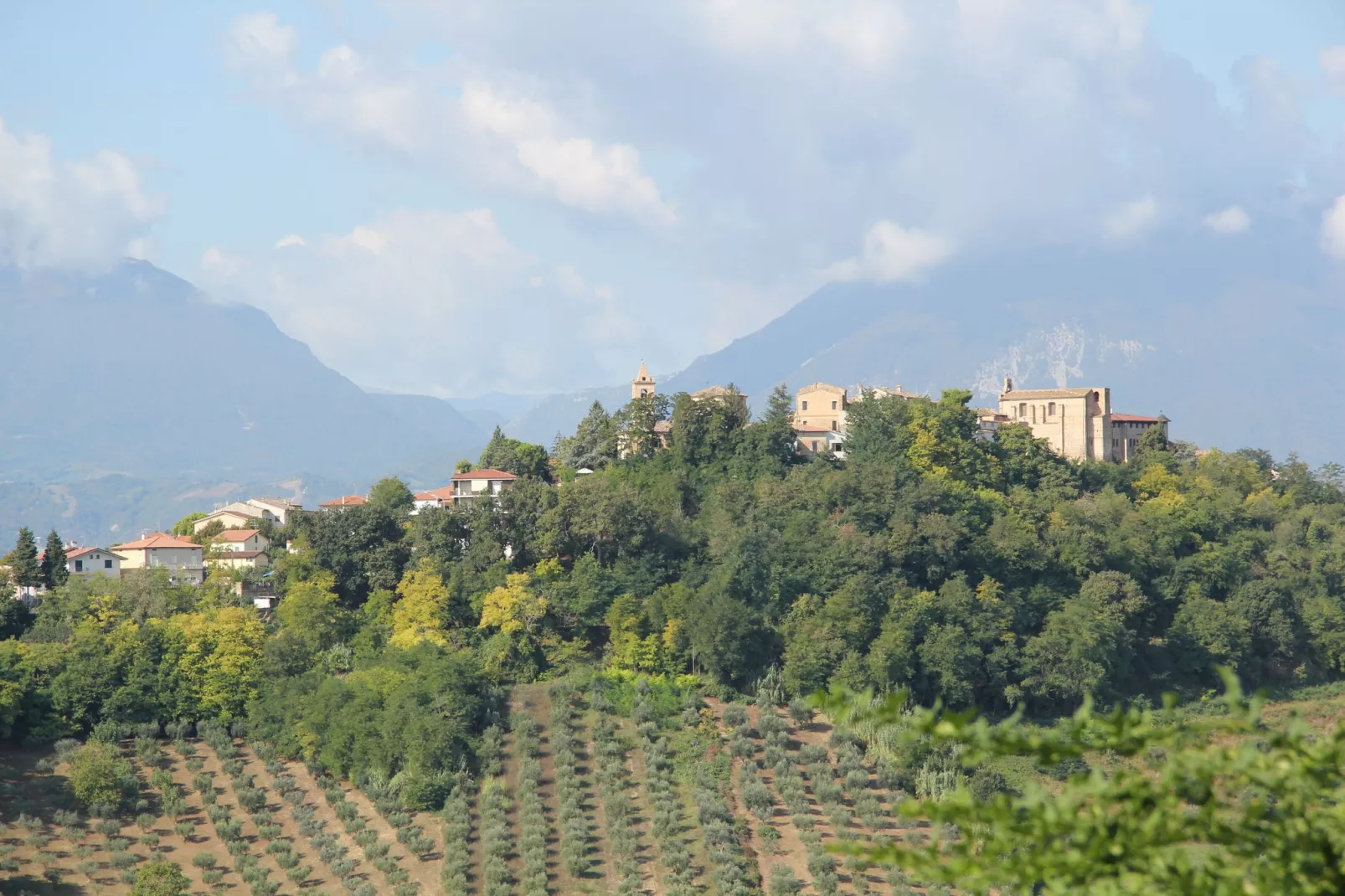 Ninfea e Oleandro-Areas summer 1km