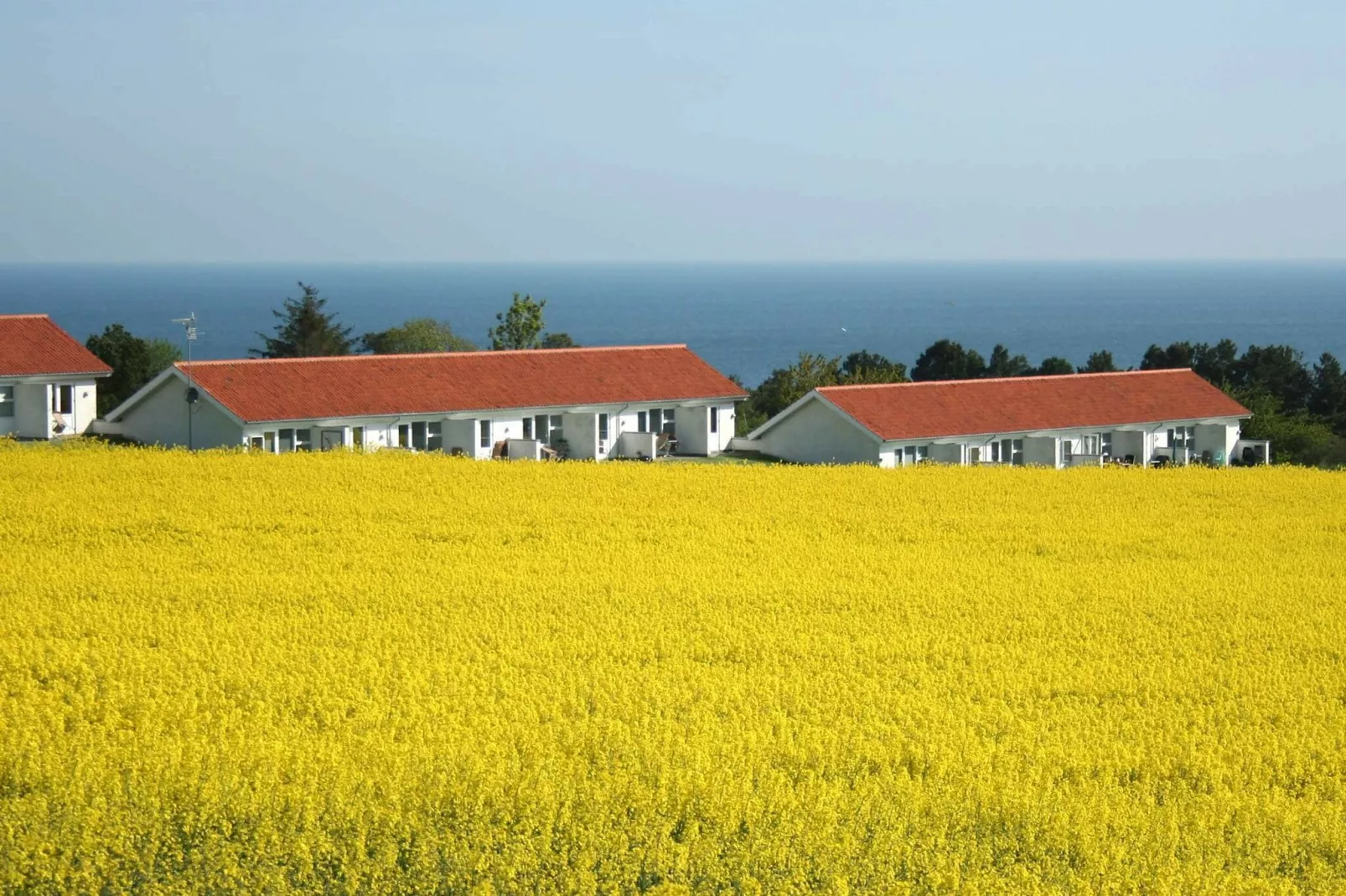 BOESVANG-View