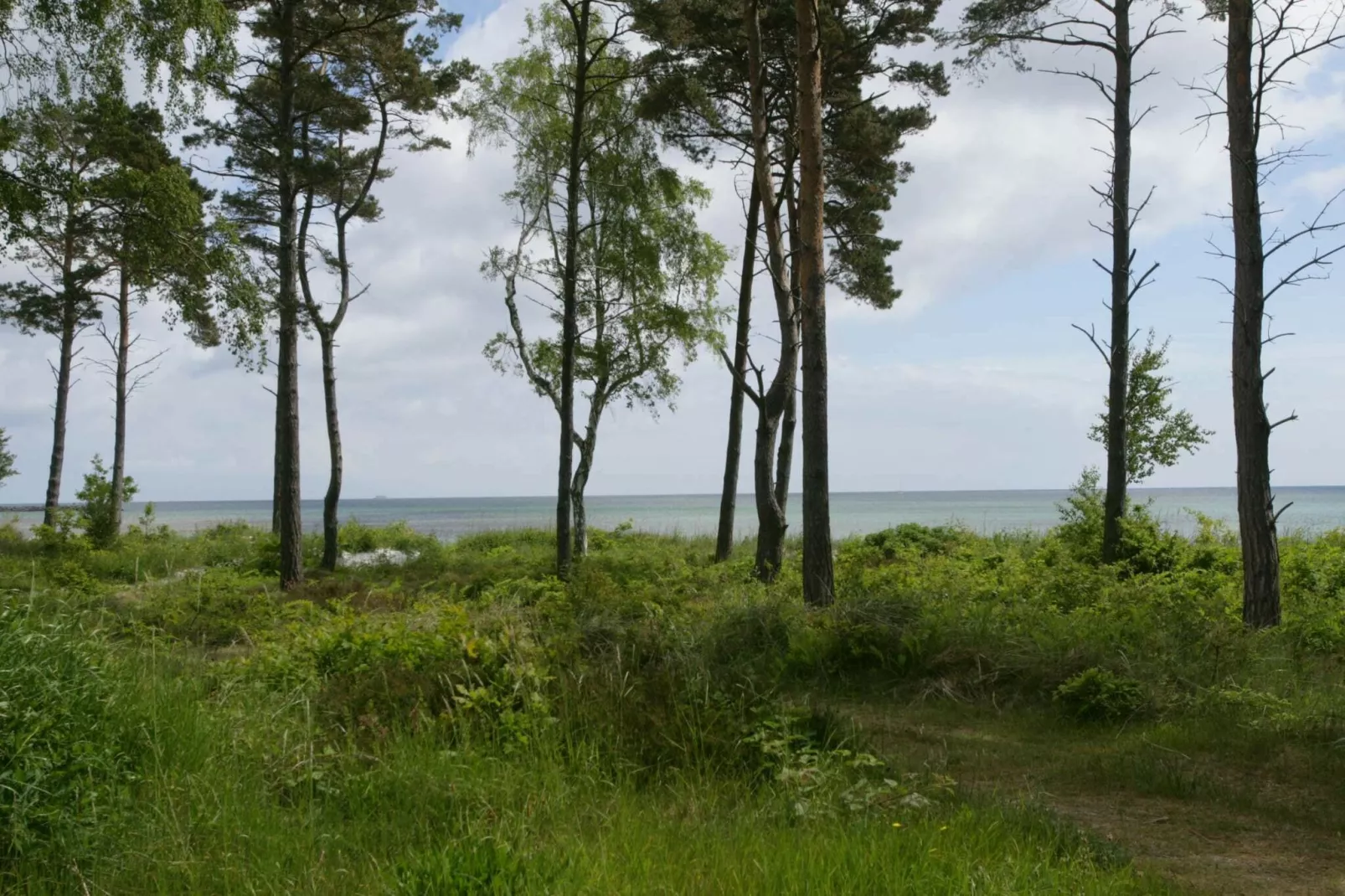 RØDKÆLKEN-Water view