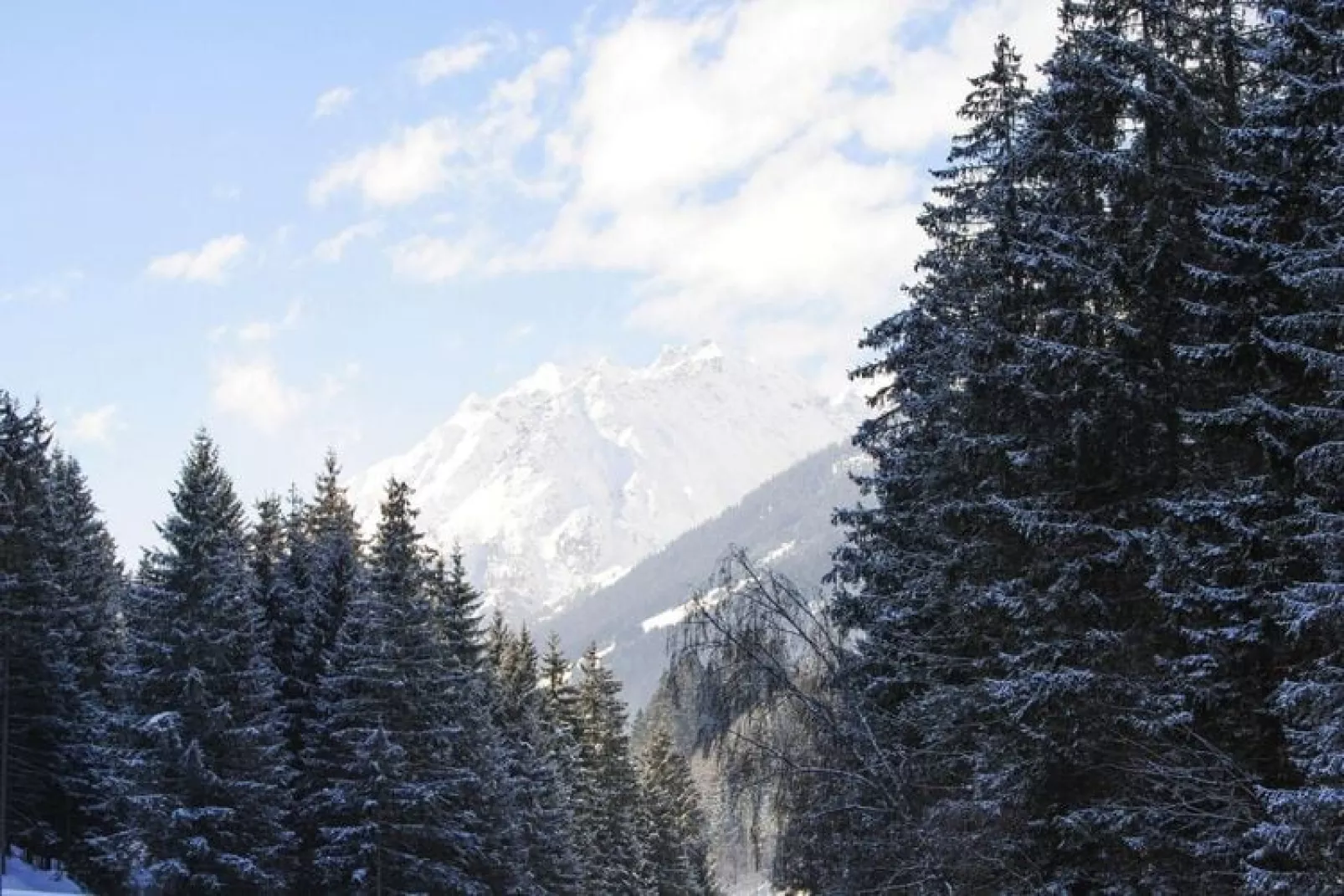 Val Sinestra - Typ B - 4 Personen-View winter
