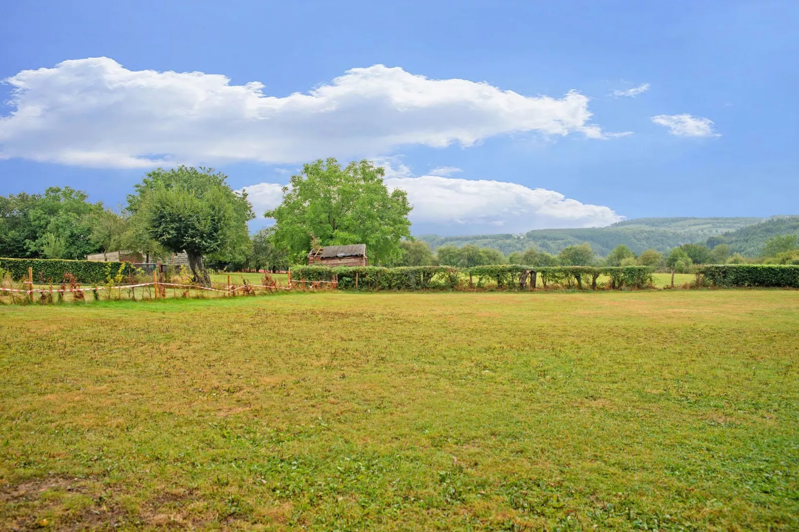 Le Grand Fagnard-Areas summer 1km
