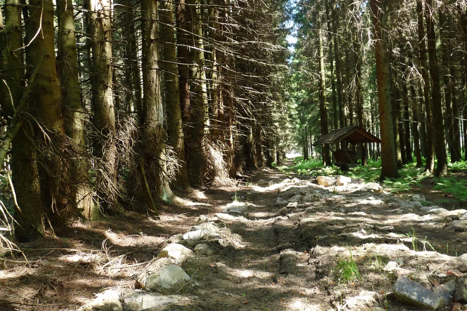 La Cabane-Areas summer 1km
