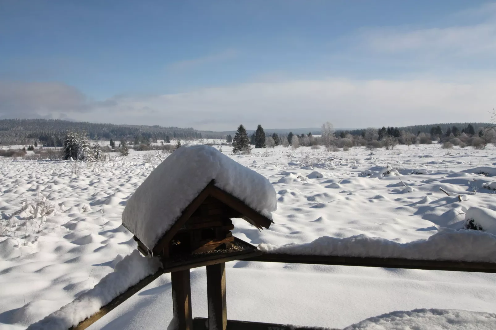 La Cabane-View winter