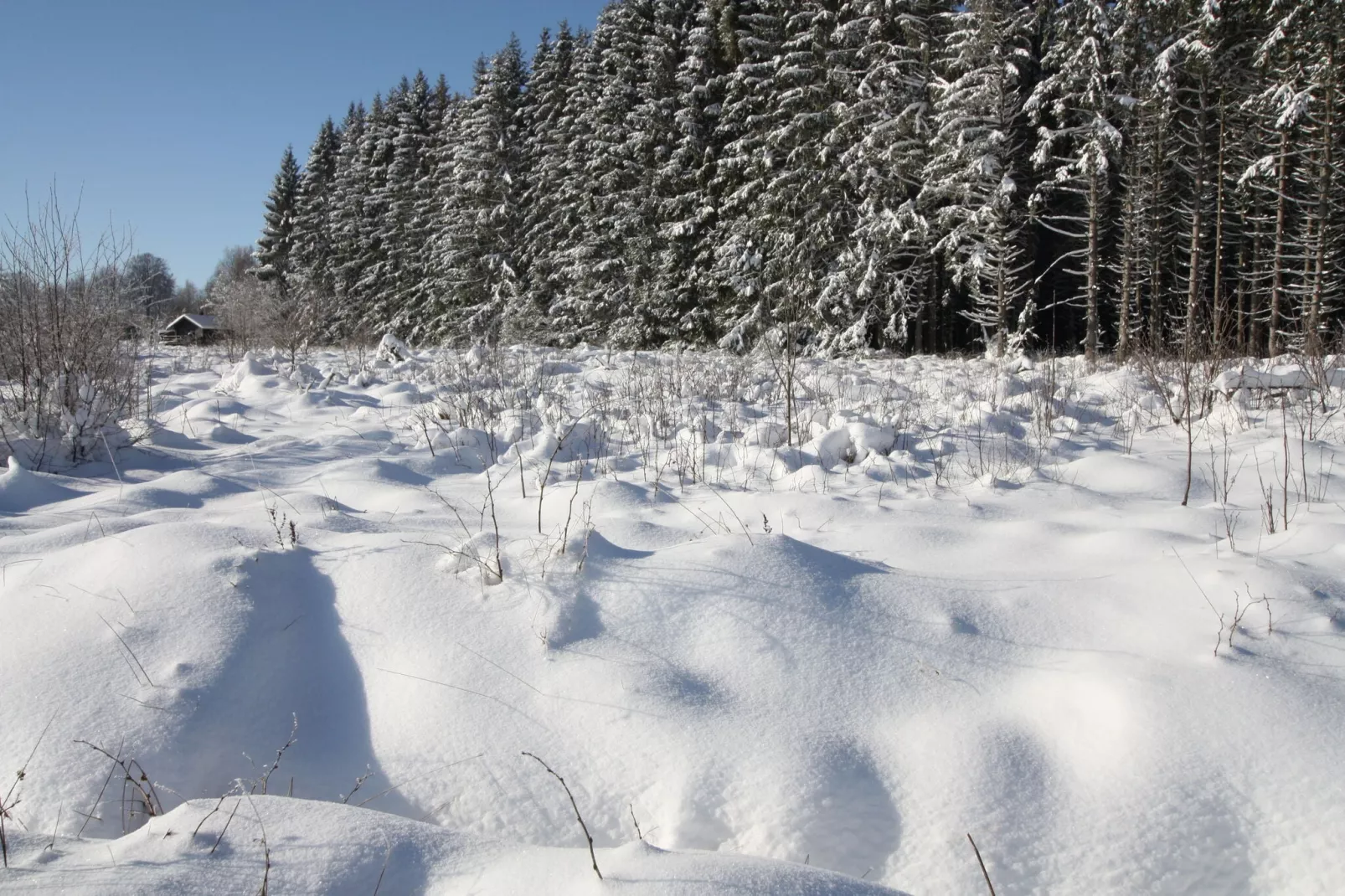 La Cabane-Exterior winter