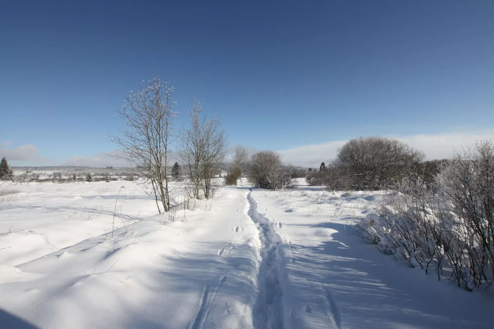 La Cabane-Area winter 1km