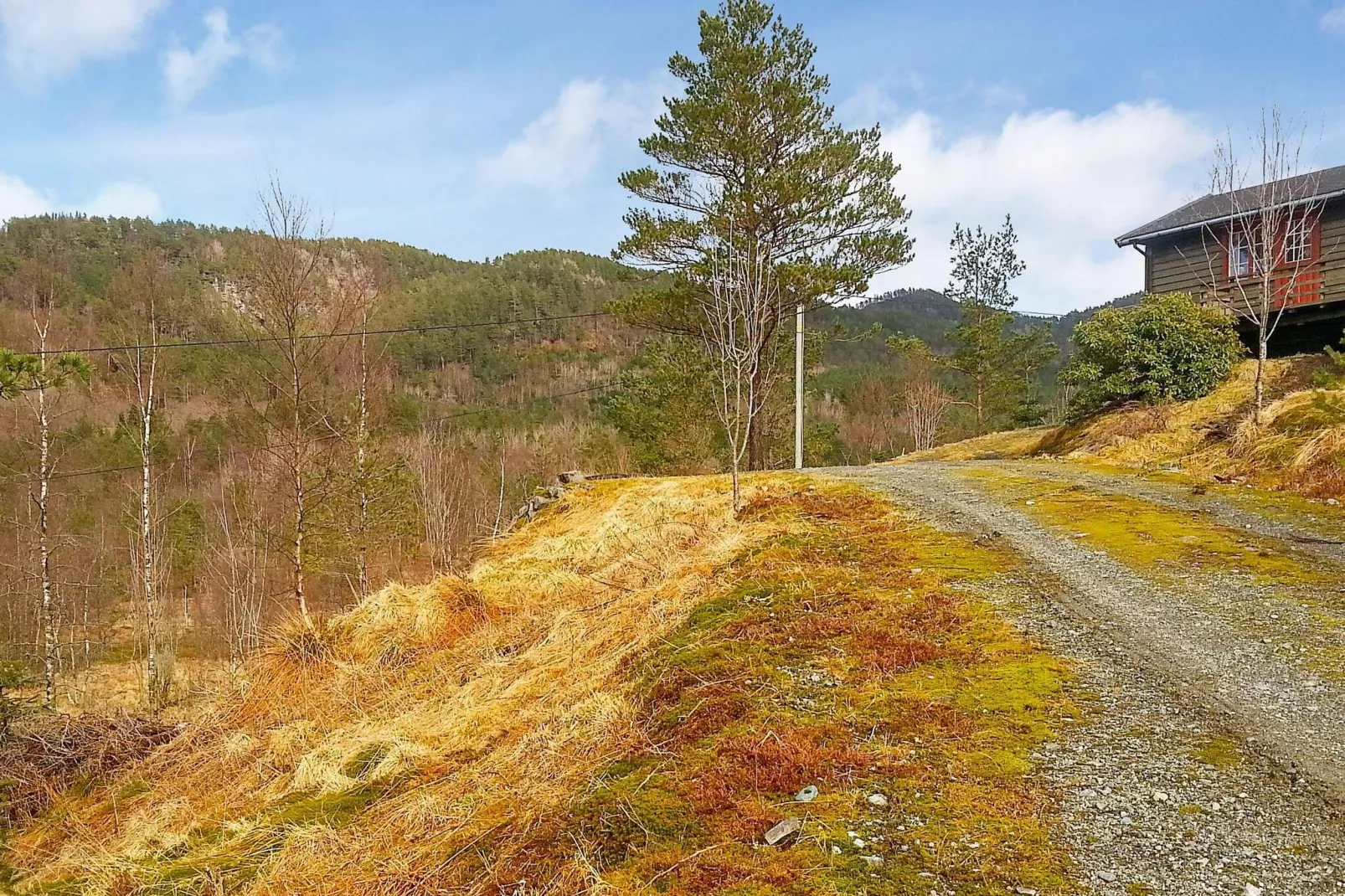 99206 RØSSLYNGTUA-Outdoor