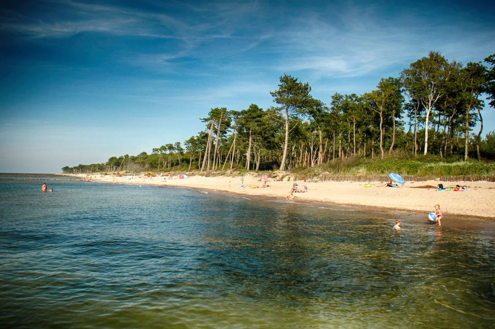Studio-Gebiete Sommer 1 km