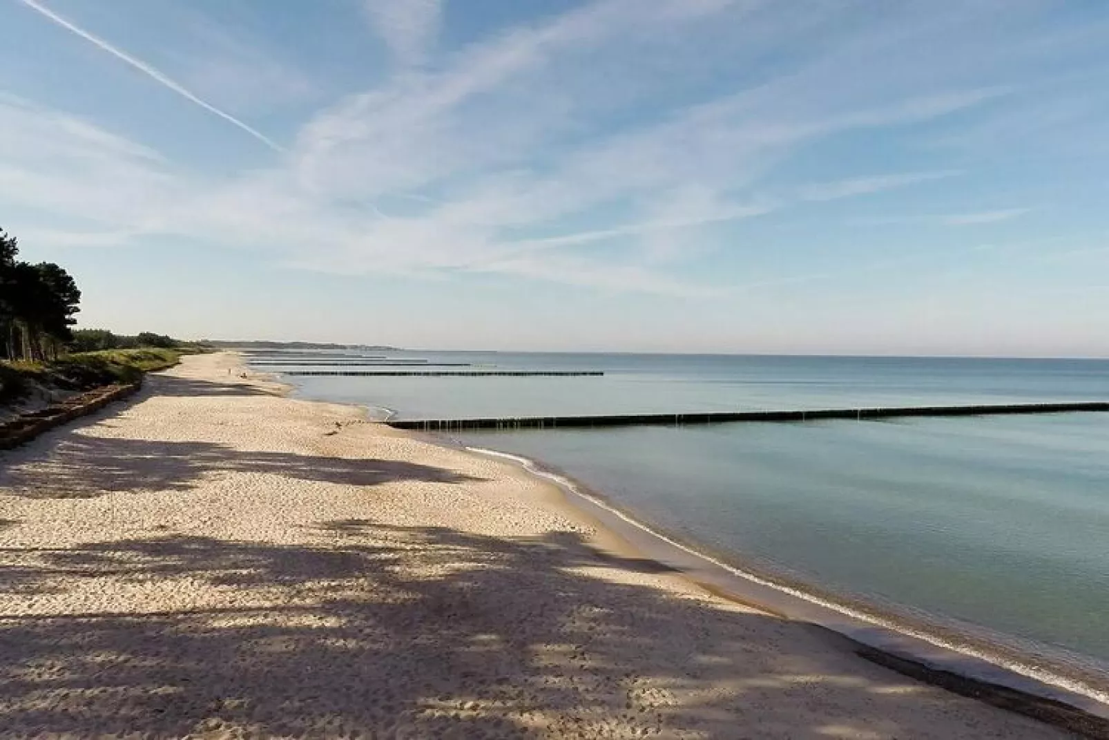 Studio-Gebiete Sommer 5 km