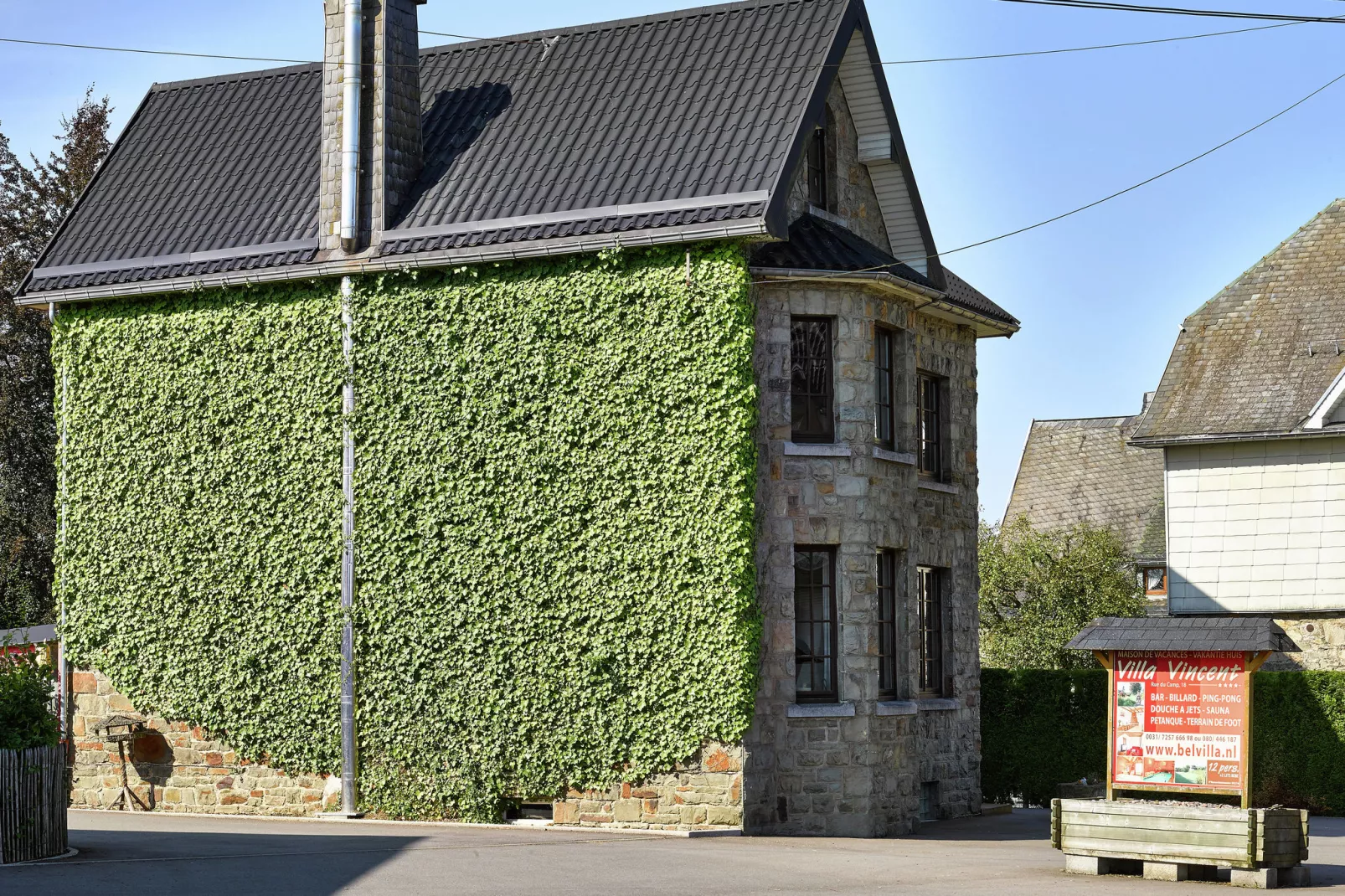 Ludogite-Exterior summer