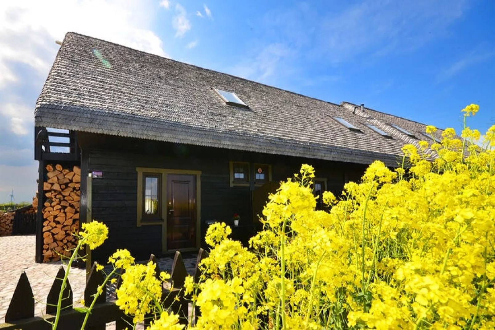 Studio-Exterior in summer
