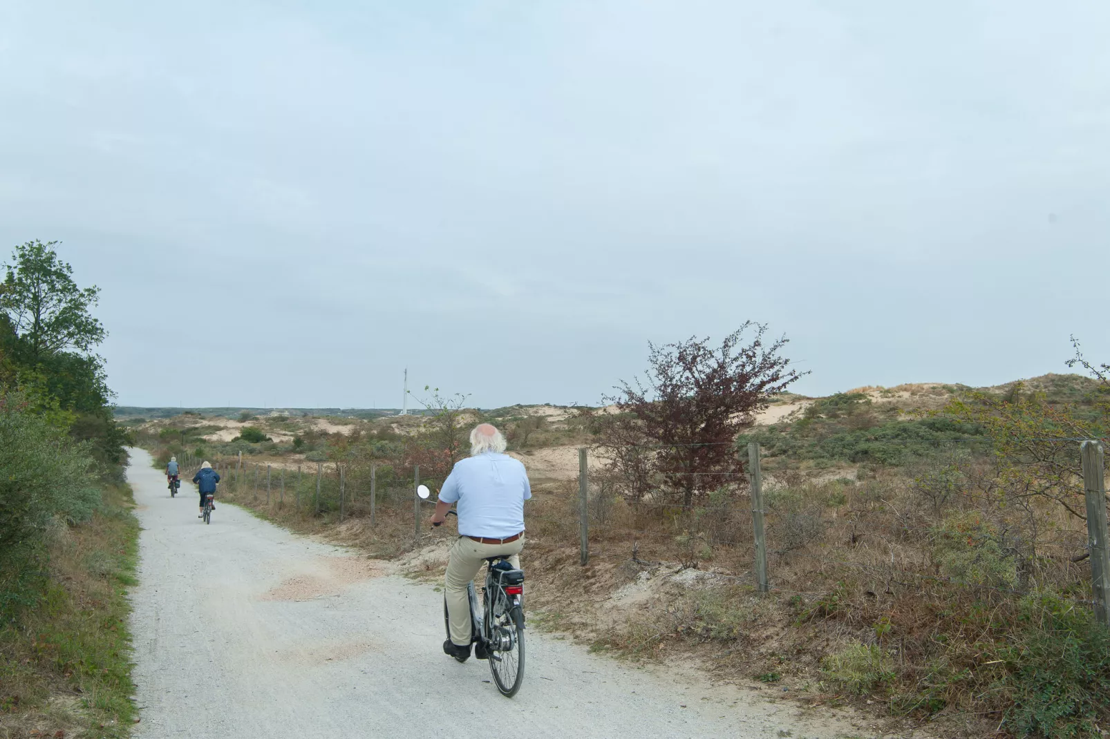 Bungalowpark 't Lappennest 2-Areas summer 5km