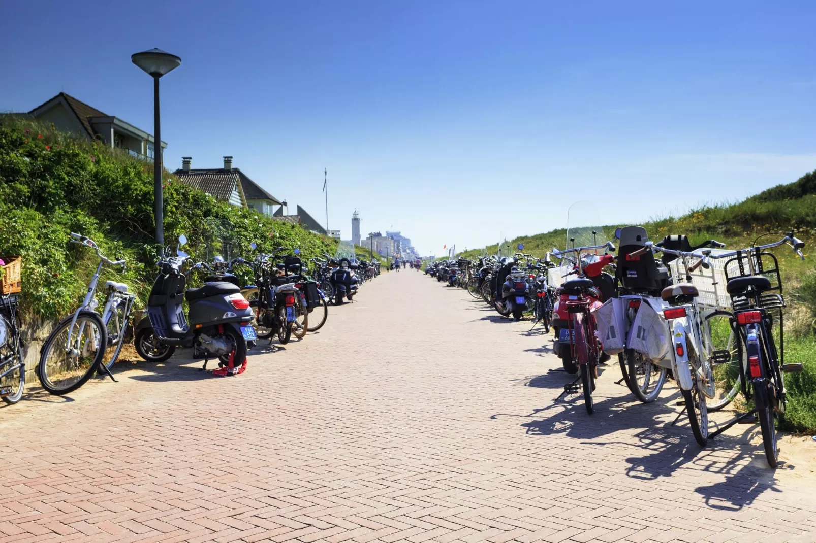 Velthorst 5-Areas summer 1km