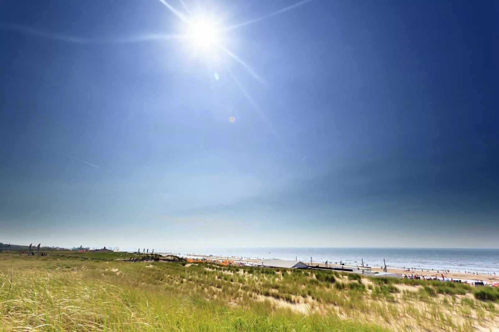 Velthorst 5-Areas summer 20km