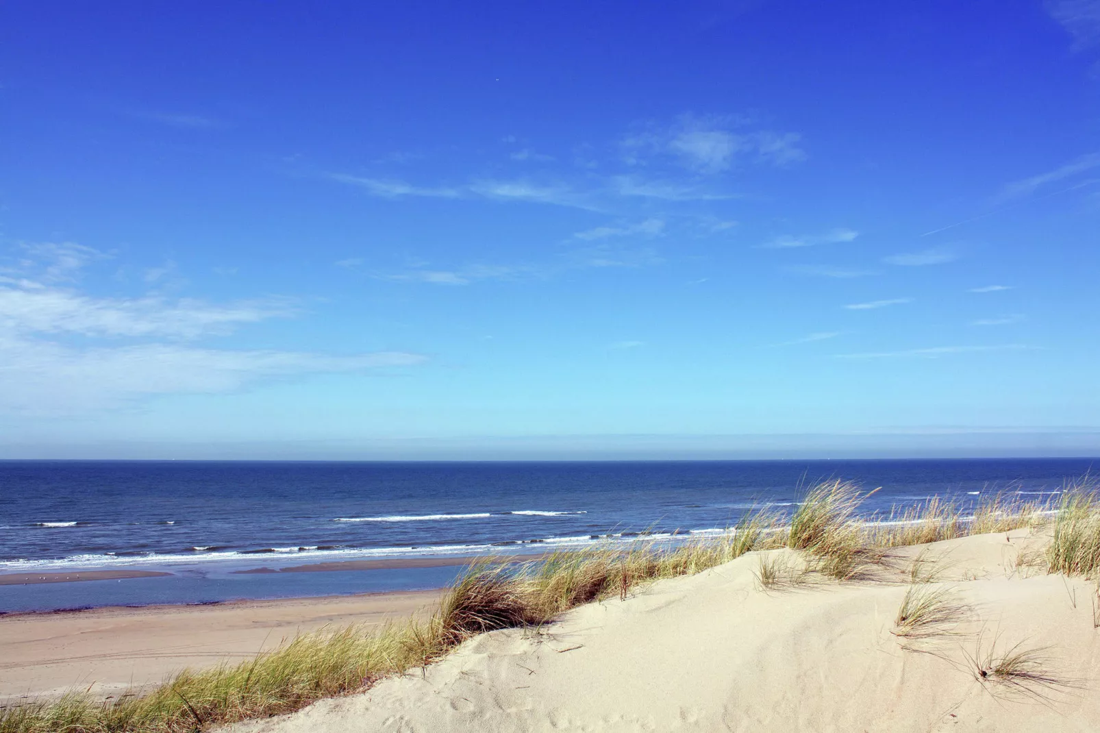 Duinvilla Noordwijk-Areas summer 5km