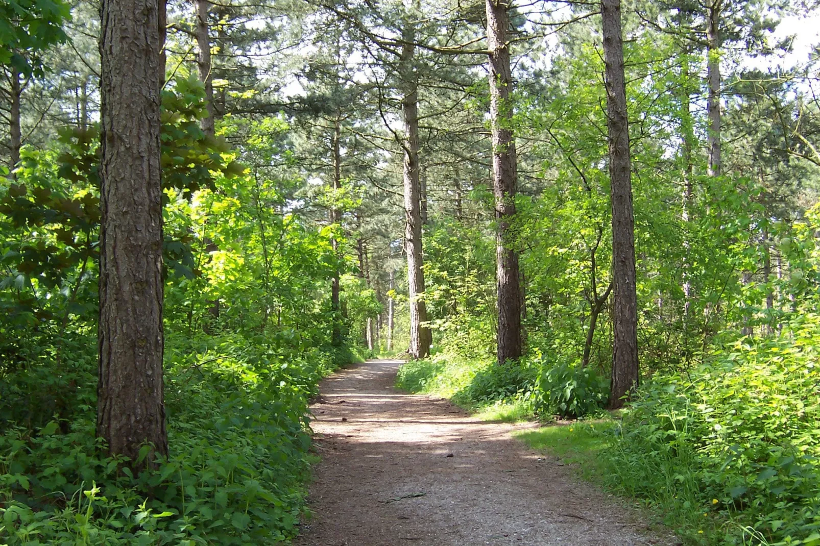 Duinvilla Noordwijk-Areas summer 5km