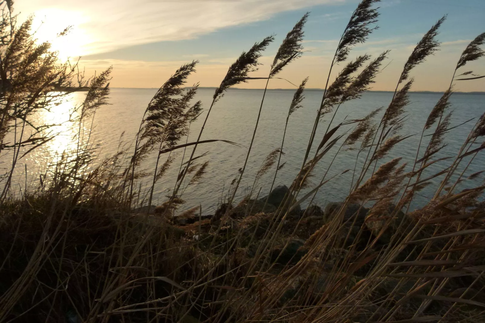 Ostsee-Haus Windland auf der Insel-Gebiete Sommer 20 km