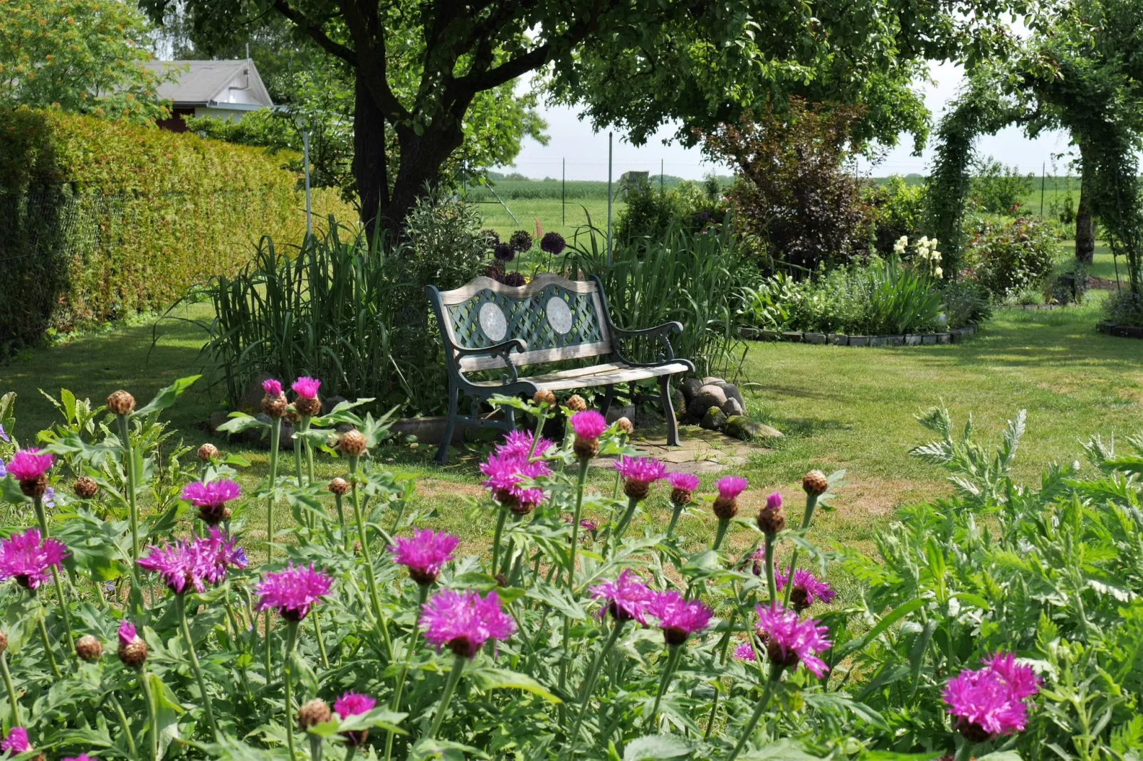 Am Ostsee Radweg-Gardens summer
