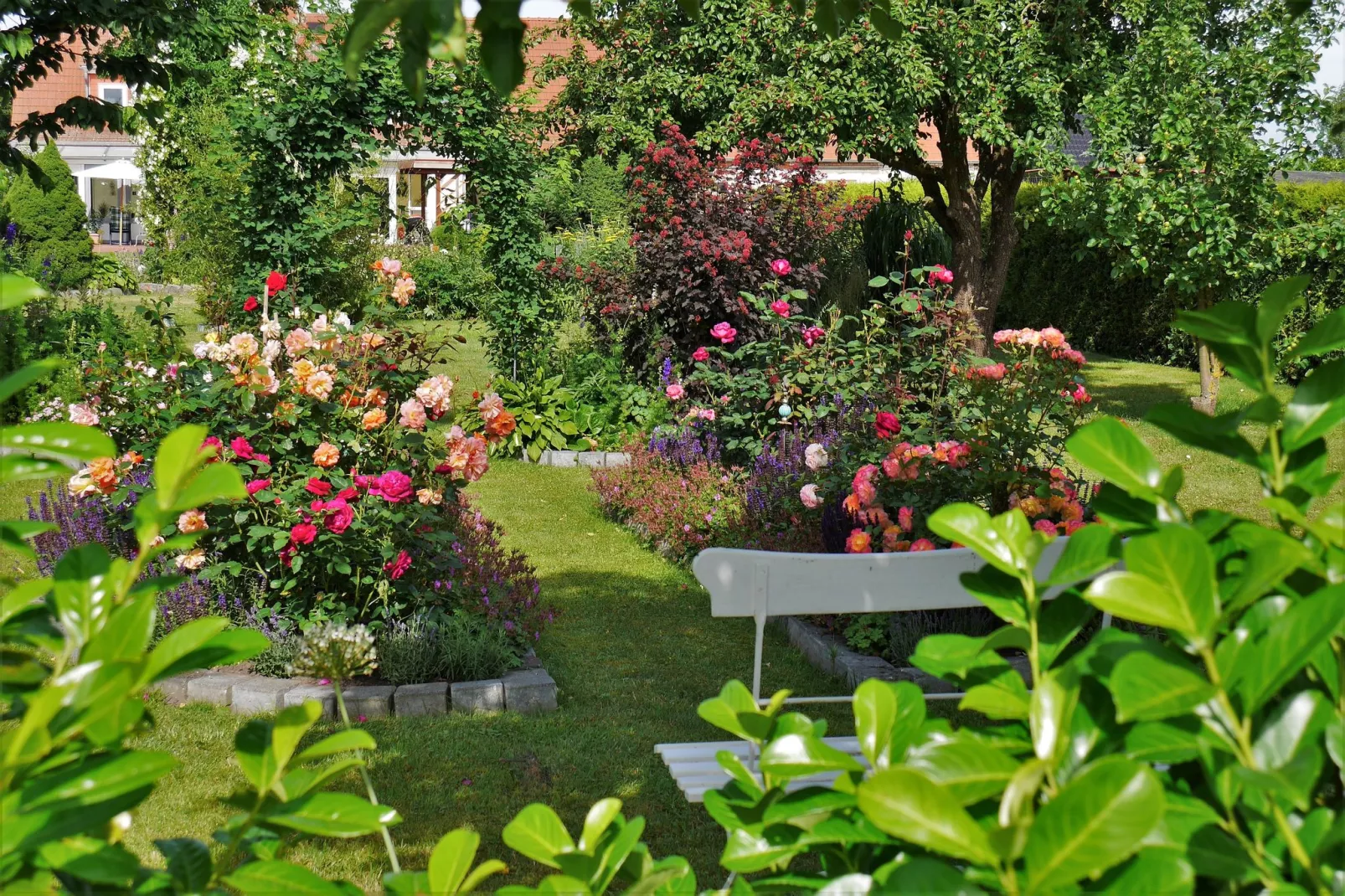 Am Ostsee Radweg-Gardens summer