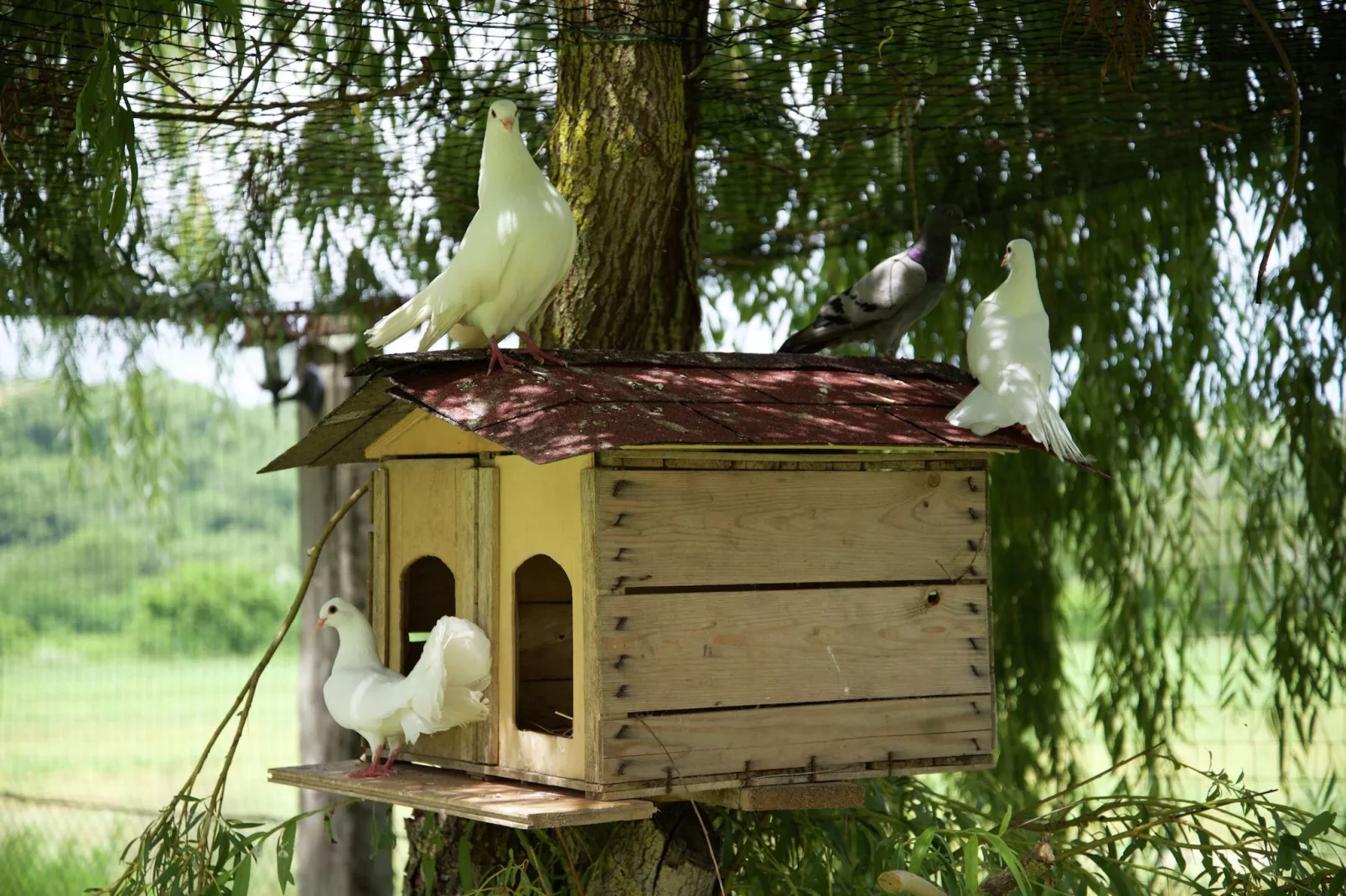 Casa Visietto-Facilities