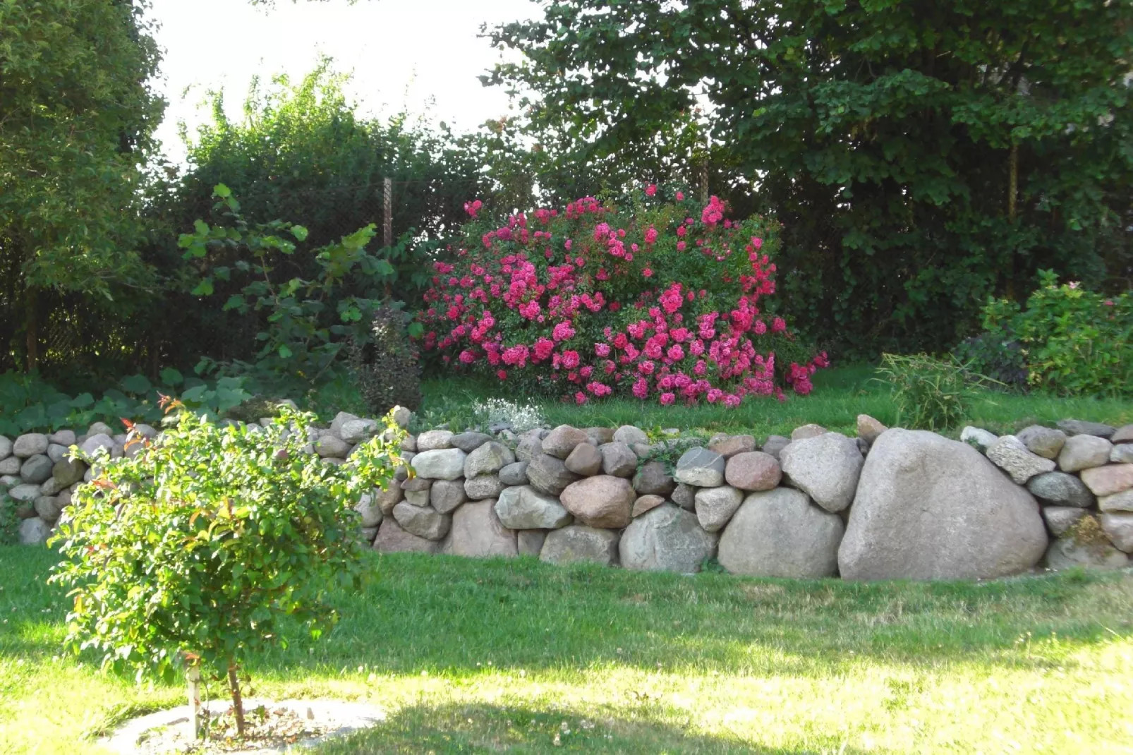 Zweedorf-Gardens summer