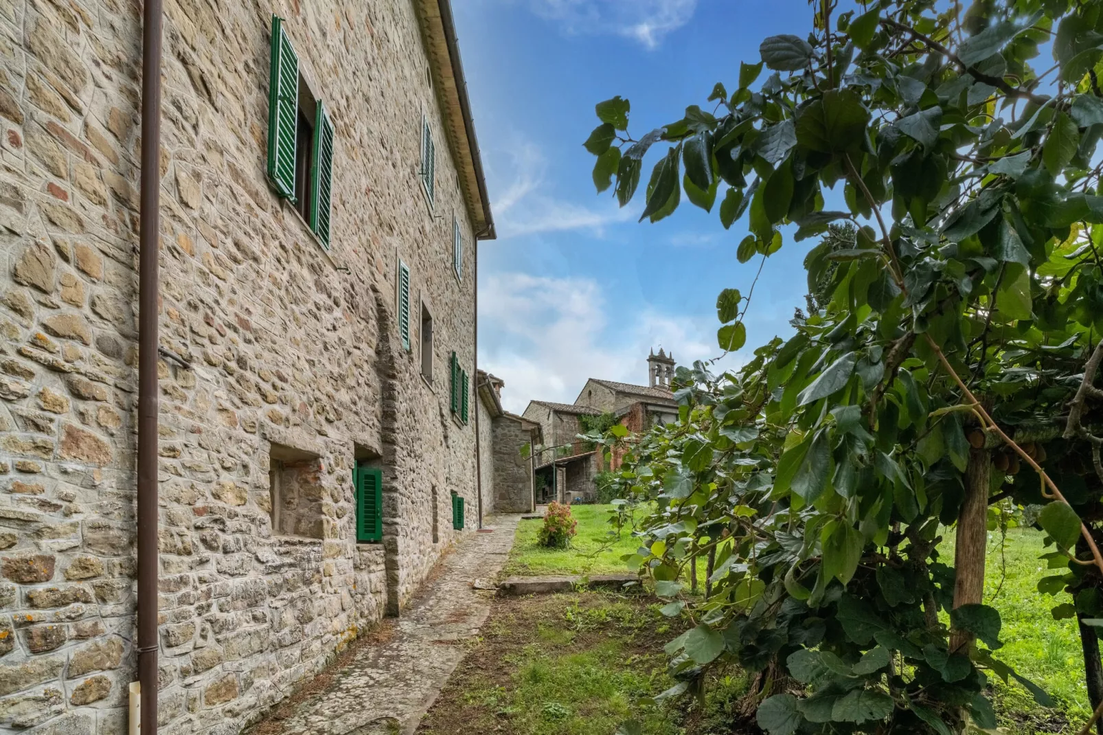Casa Olivo-Gardens summer