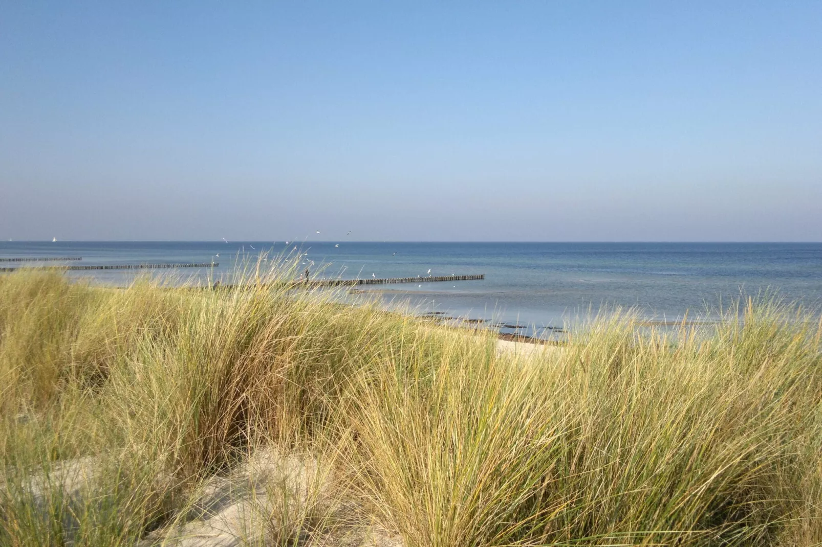 Kirchturmblick-Areas summer 5km