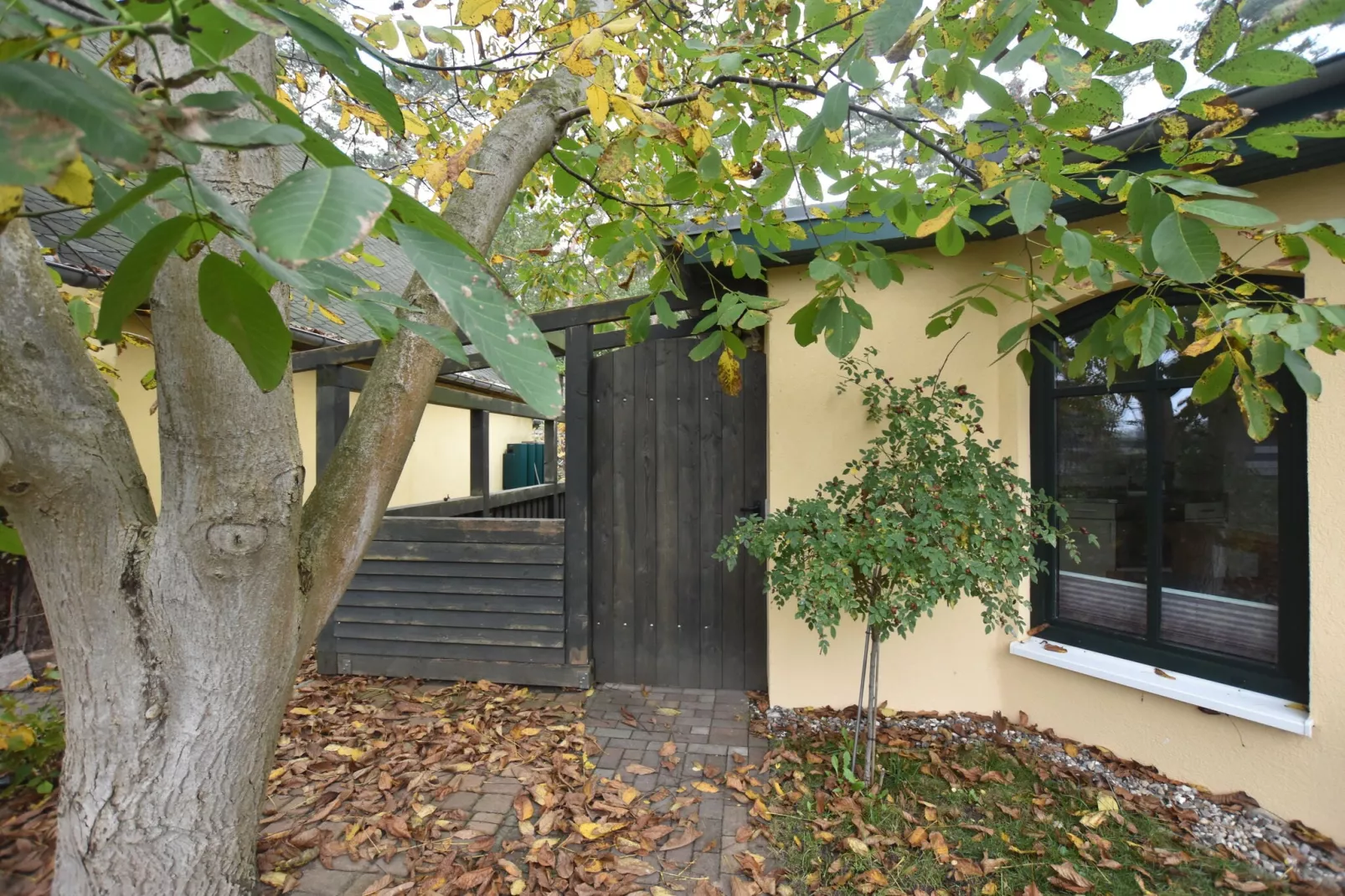 Zum Haff-Exterior summer