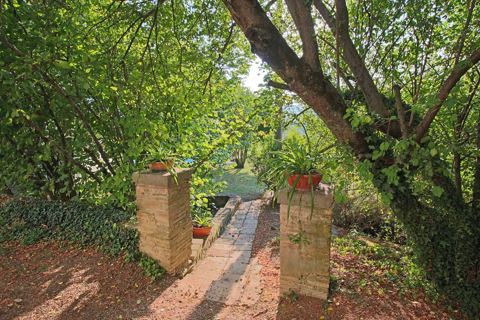 Il Giardiniere-Gardens summer