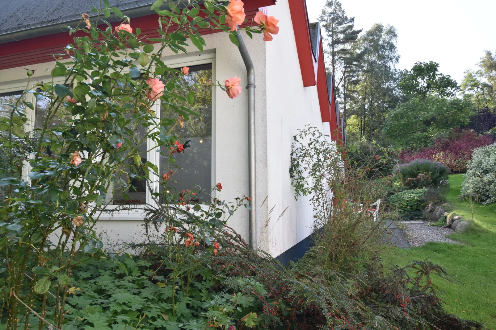 Ostseeblick Kühlungsborn mit Terrasse und Garten-Außenbereich Sommer