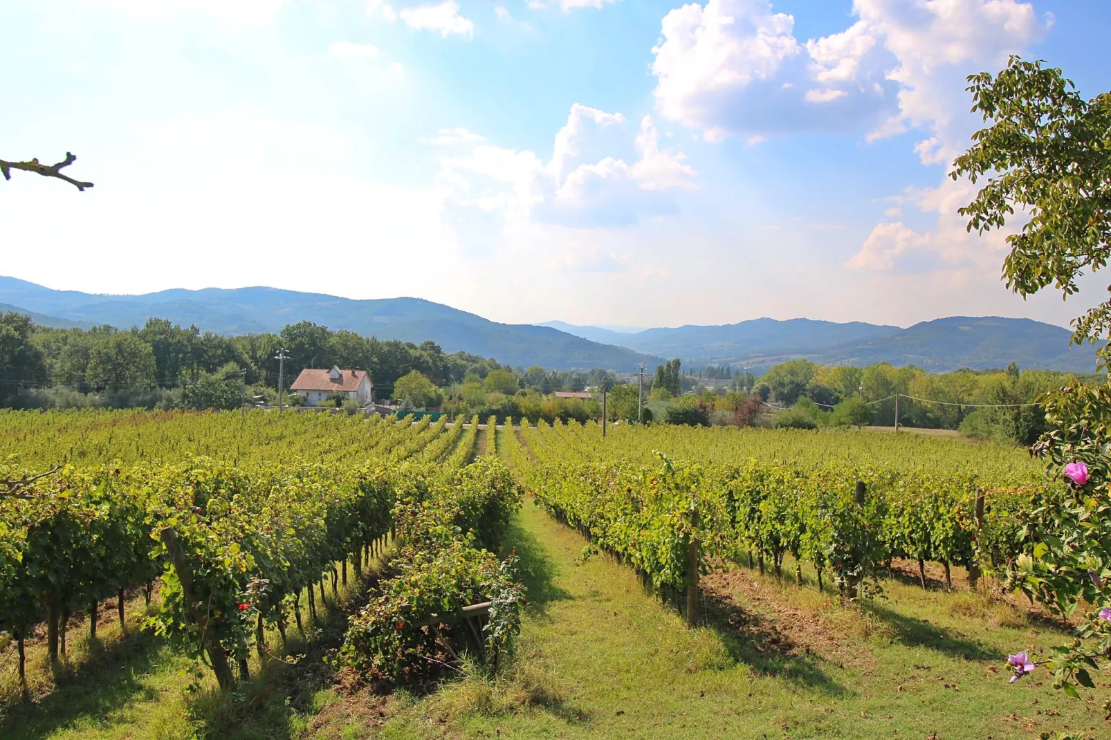 Il Lavello-Areas summer 1km