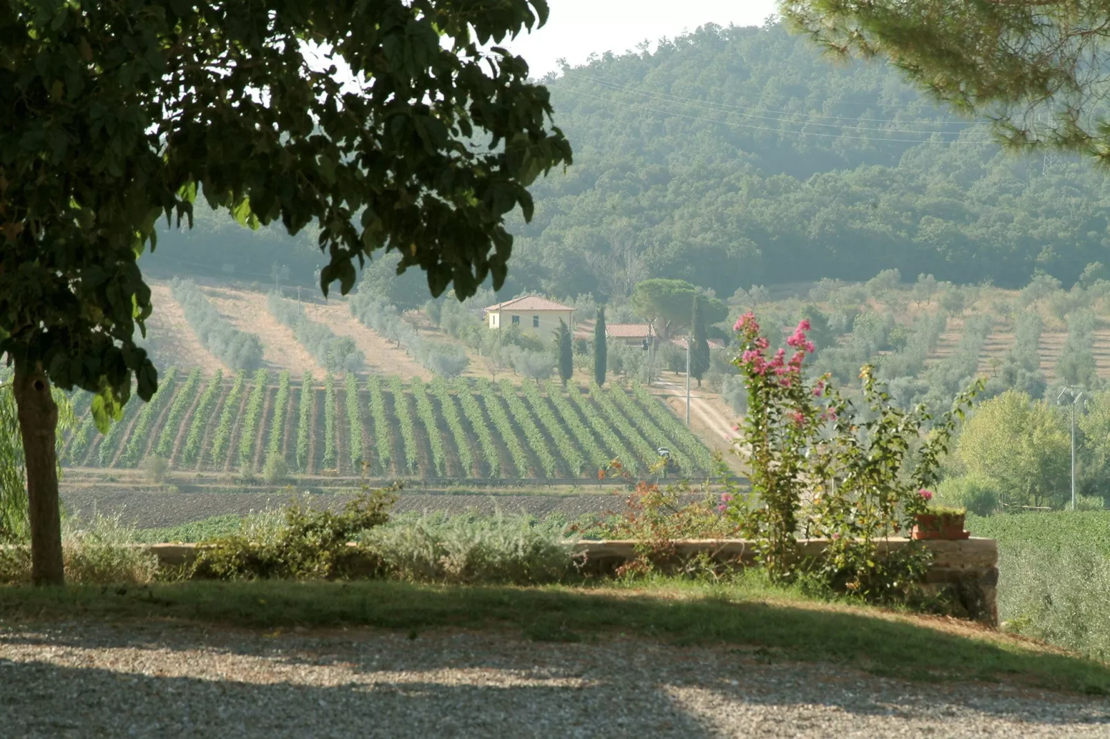 Il Lavello-View summer