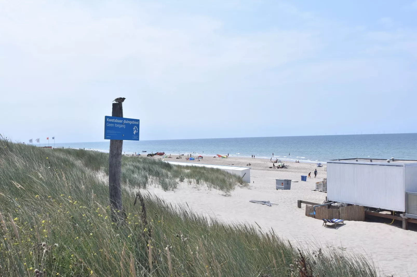 Huize Glory Amethist aan Zee-Areas summer 1km