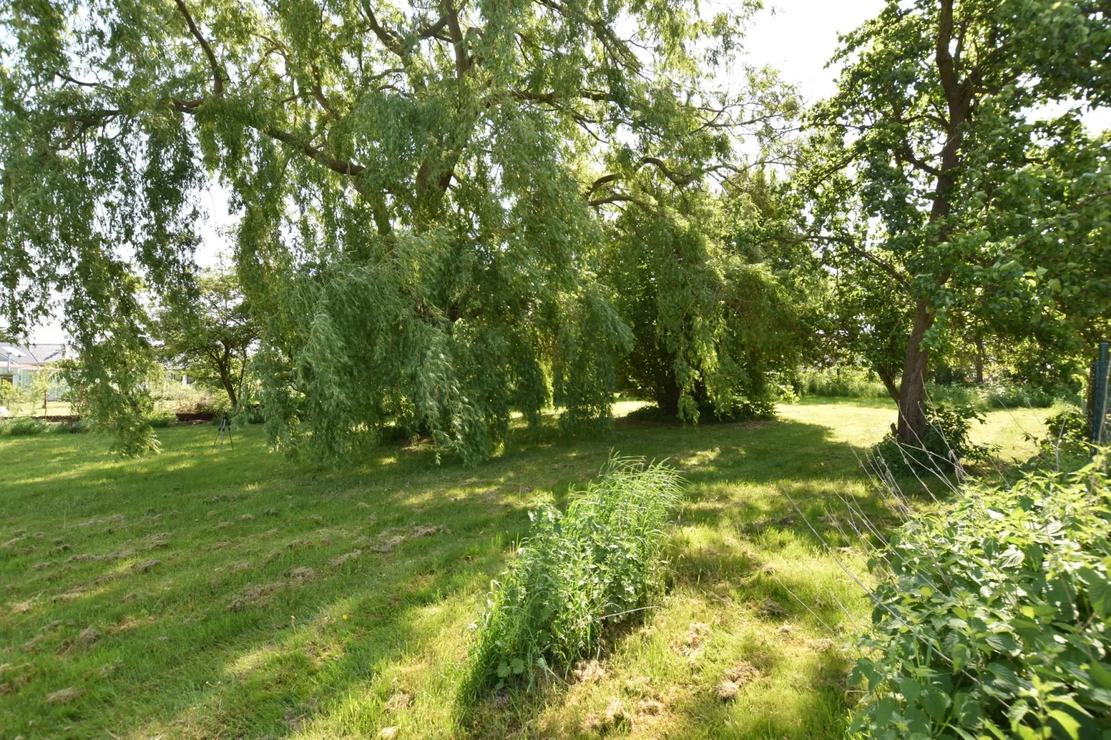 Ferienhaus nahe Insel Poel mit Kamin Terrasse und Garten-Gardens summer