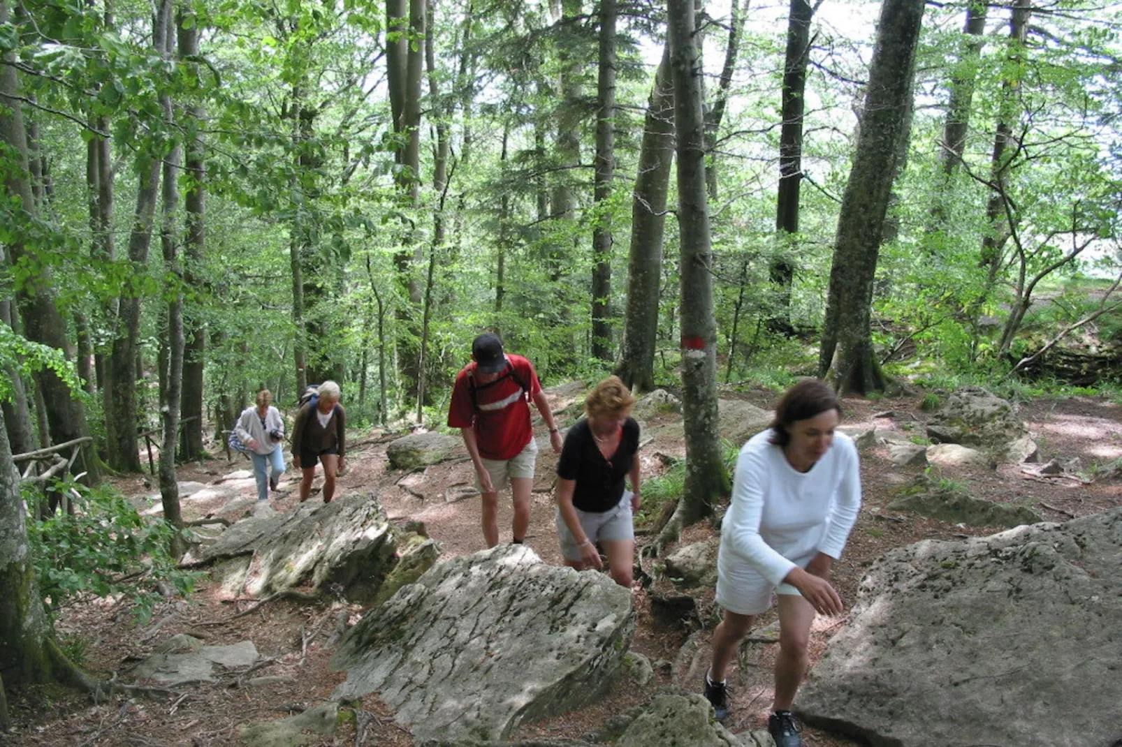Casina-Gebiete Sommer 1 km