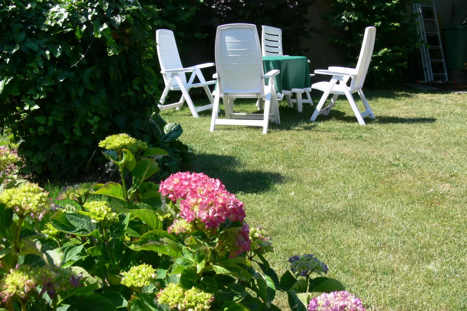 Zur Teufelsschlucht-Garten Sommer