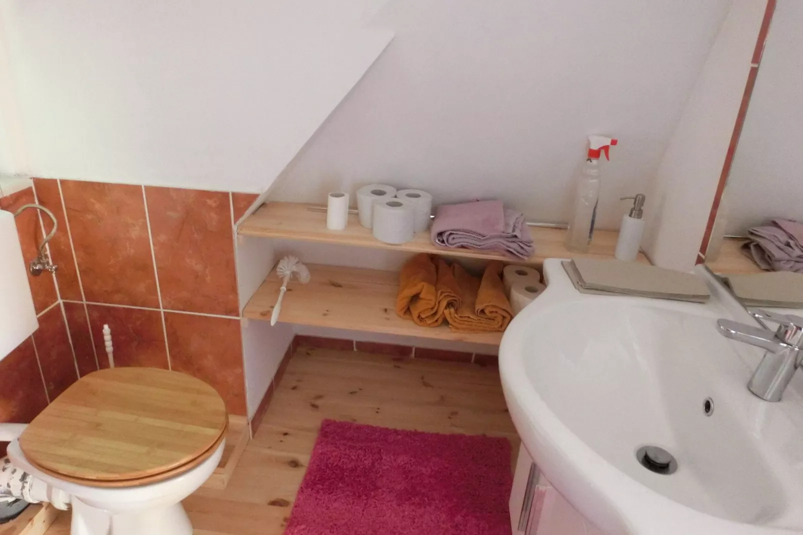 Spiegeltal-Bathroom